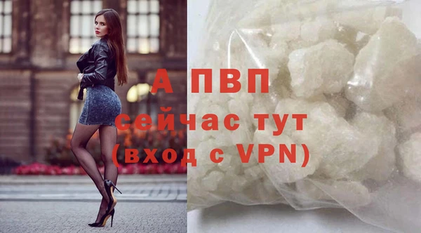 СК Магадан