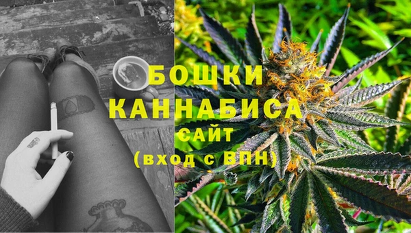 хмурый Новозыбков