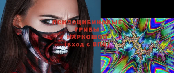 МДПВ Медногорск