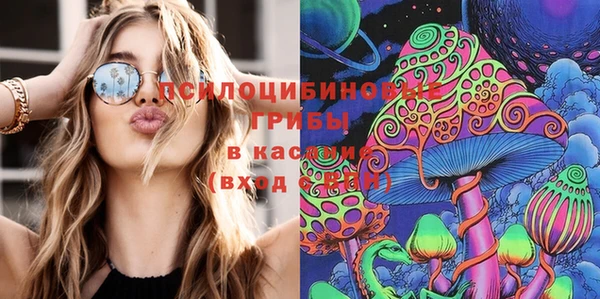 spice Магас